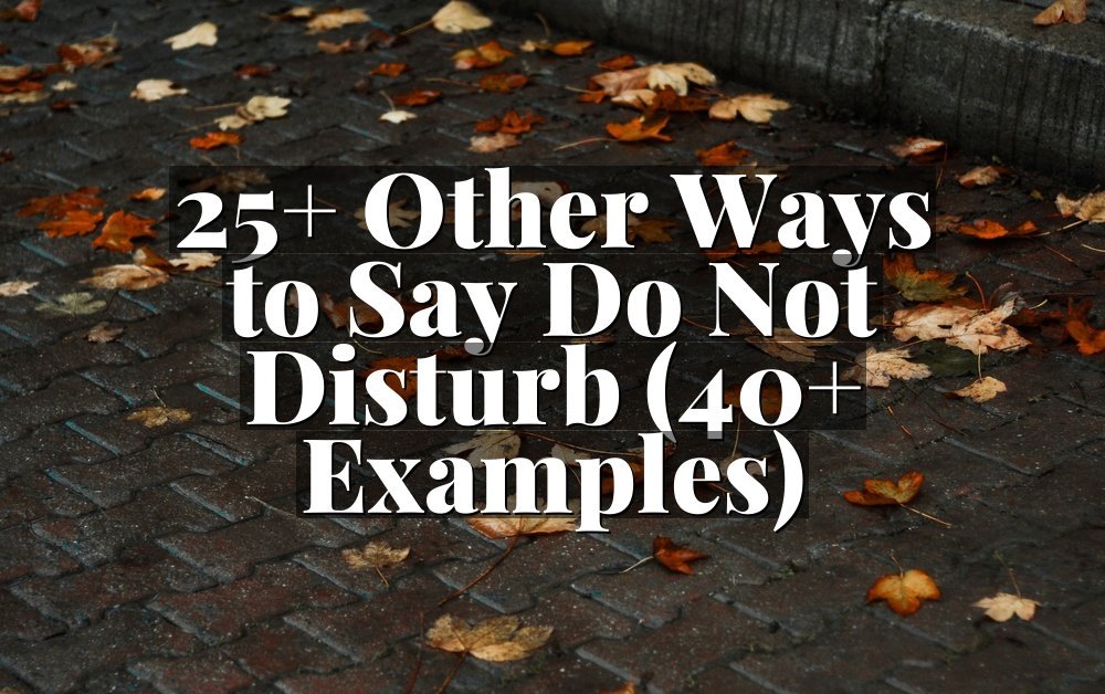 25+ Other Ways to Say Do Not Disturb (40+ Examples)