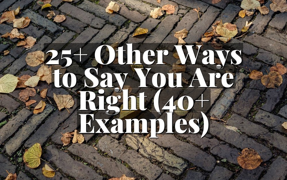 25+ Other Ways to Say You Are Right (40+ Examples)