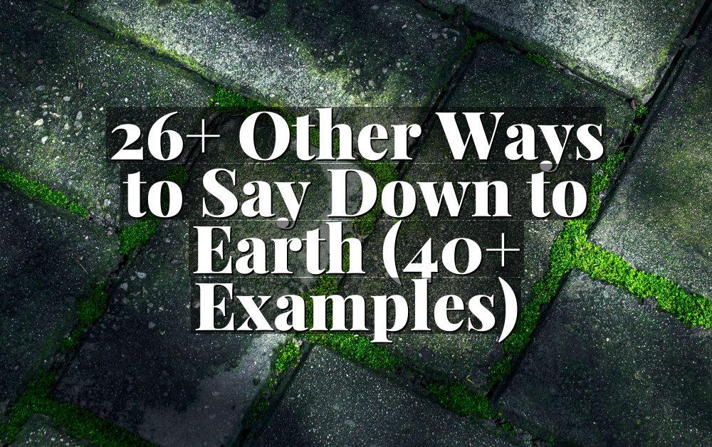 26+ Other Ways to Say Down to Earth (40+ Examples)