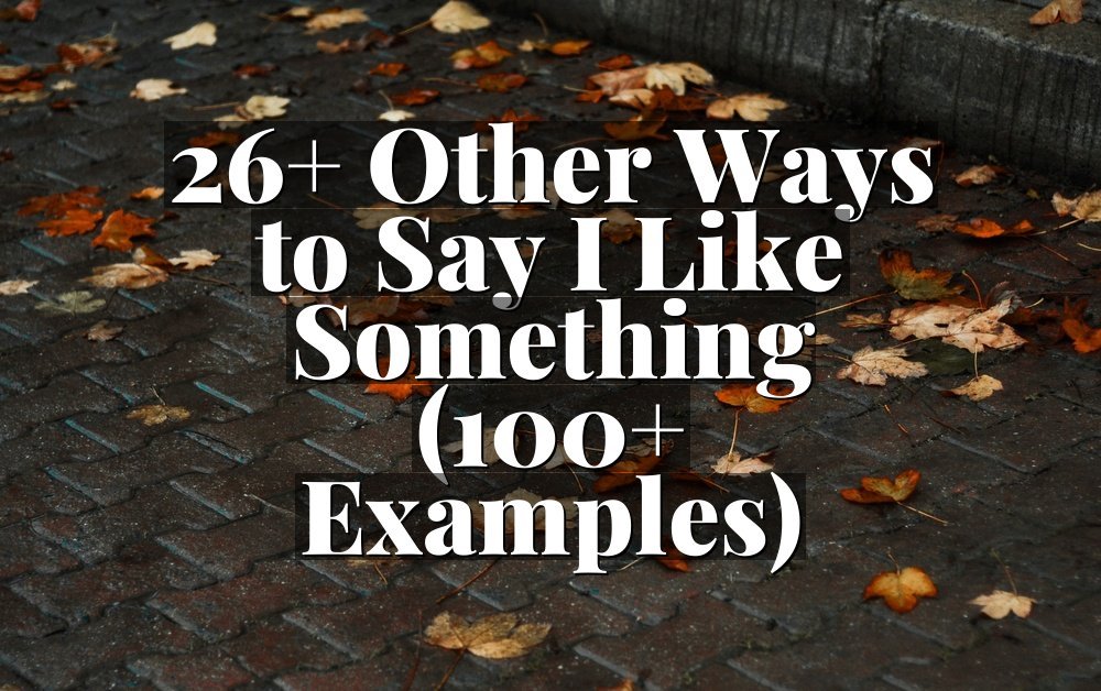 26+ Other Ways to Say I Like Something (100+ Examples)