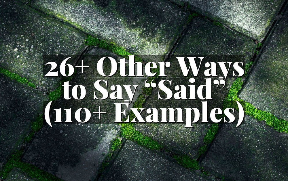 26+ Other Ways to Say “Said” (110+ Examples)