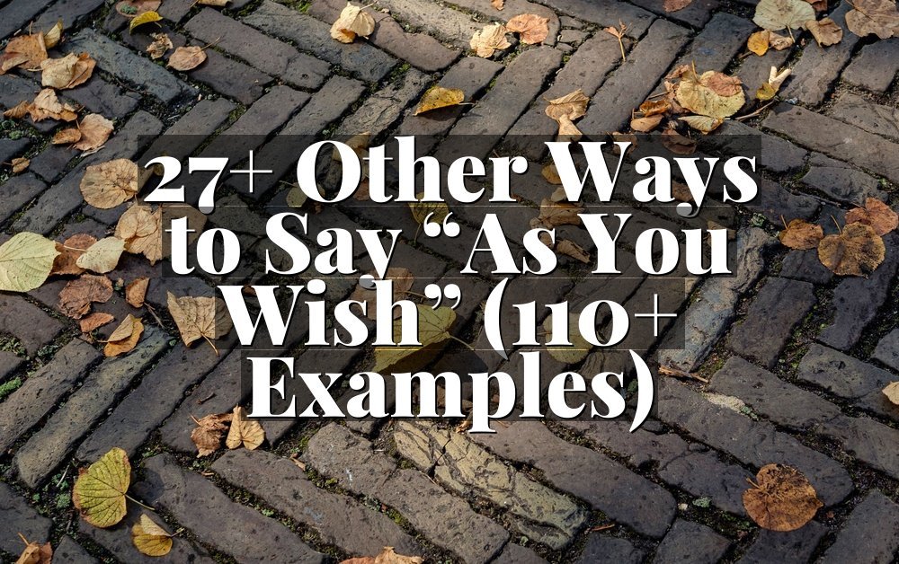 27+ Other Ways to Say “As You Wish” (110+ Examples)
