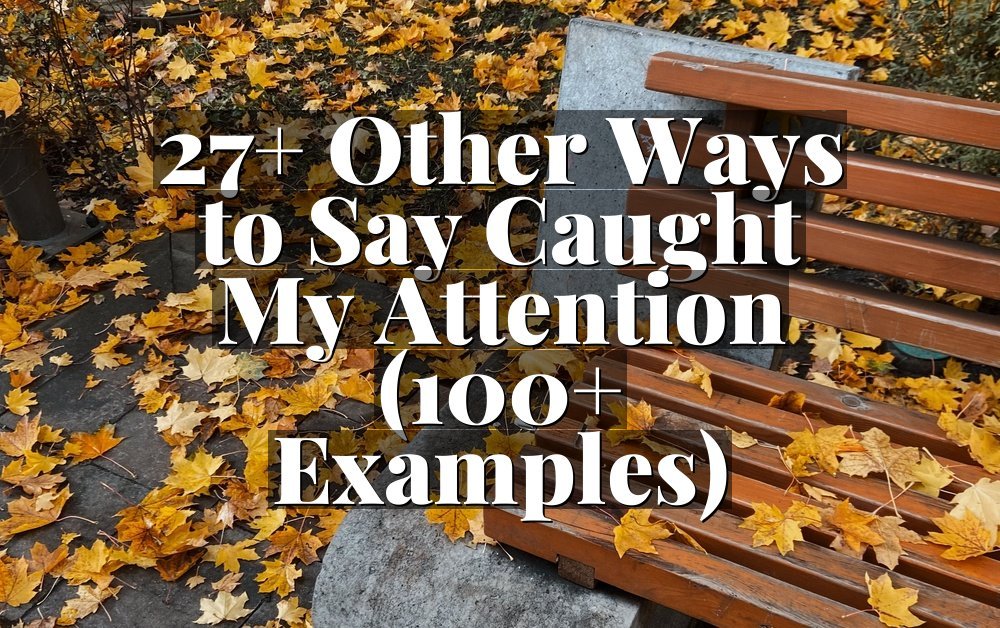 27+ Other Ways to Say Caught My Attention (100+ Examples)
