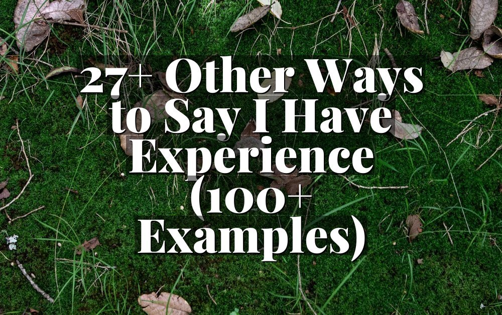 27+ Other Ways to Say I Have Experience (100+ Examples)