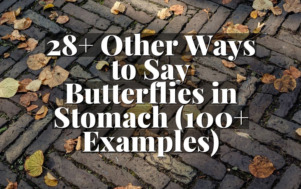 28+ Other Ways to Say Butterflies in Stomach (100+ Examples)
