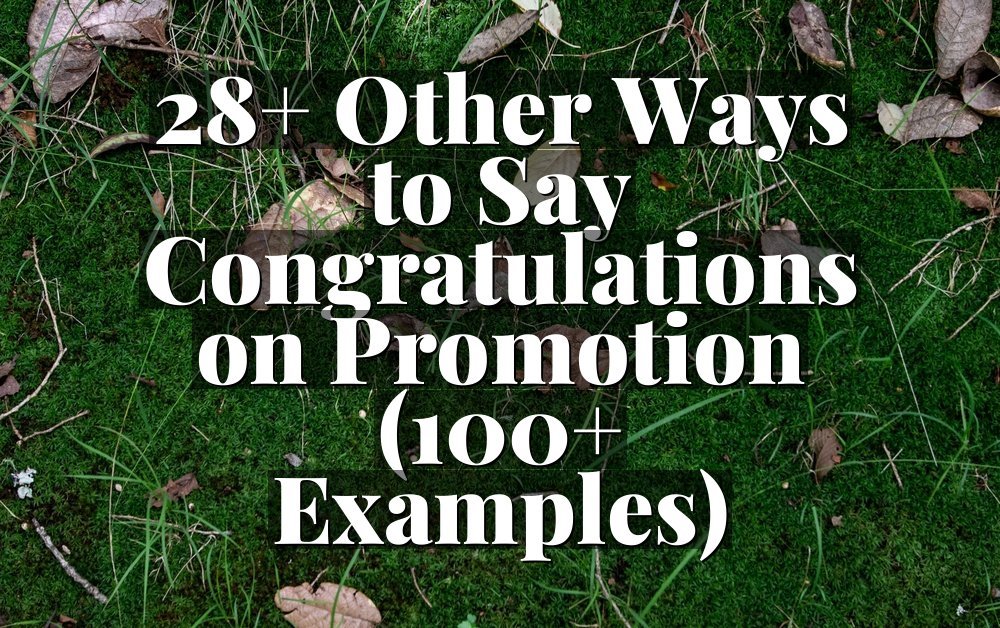 28+ Other Ways to Say Congratulations on Promotion (100+ Examples)