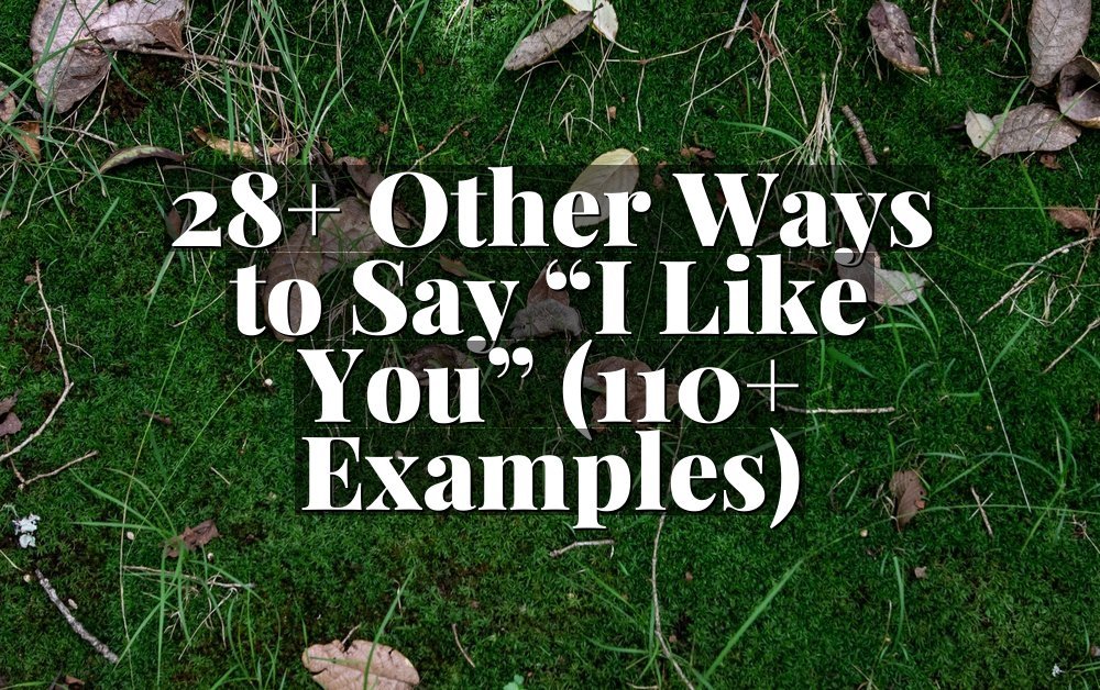 28+ Other Ways to Say “I Like You” (110+ Examples)